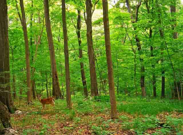 《青年作家》年出版的作品 2020年重印、评选、获奖