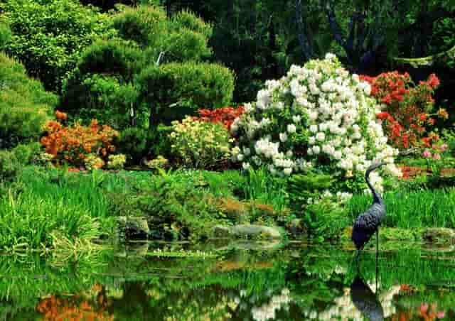 袖虎病狗攻略：据说是不治之症的狂犬病，狗狗感染有什么症状