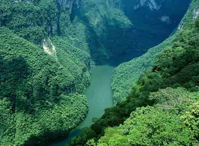 唐山传销聚集在那个区呢？怎么预防新型传销流入！