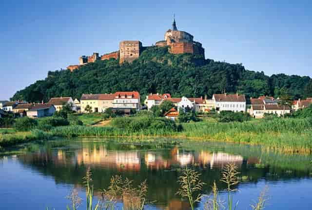 袖虎宠物告诉你：要学会避雷中国宠物行业无效信息！