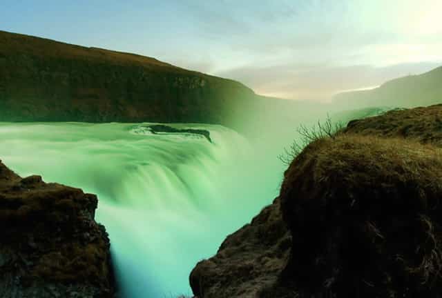 袖虎宠物揭秘骗子宠物商常见招数