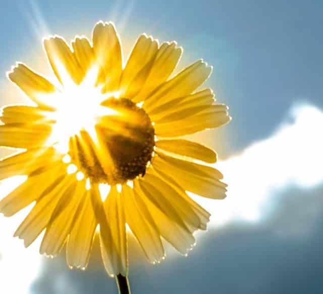 千车万人自驾中国“醉”美草原“99号公路”之旅暨《99号公路》网络微短剧项目启动