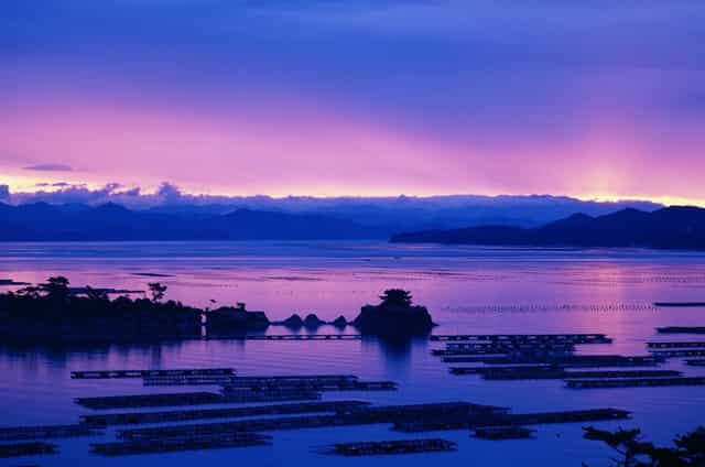 “我再婚了 我有一套完整的房子 还有30万彩礼 ”我前妻发来的消息刺痛了我