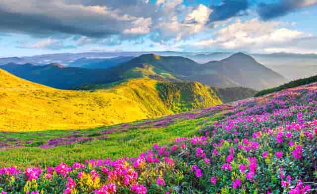 准媳妇不想要彩礼 不想要房 婆婆觉得很便宜 但听了媳妇的解释后 她后悔了