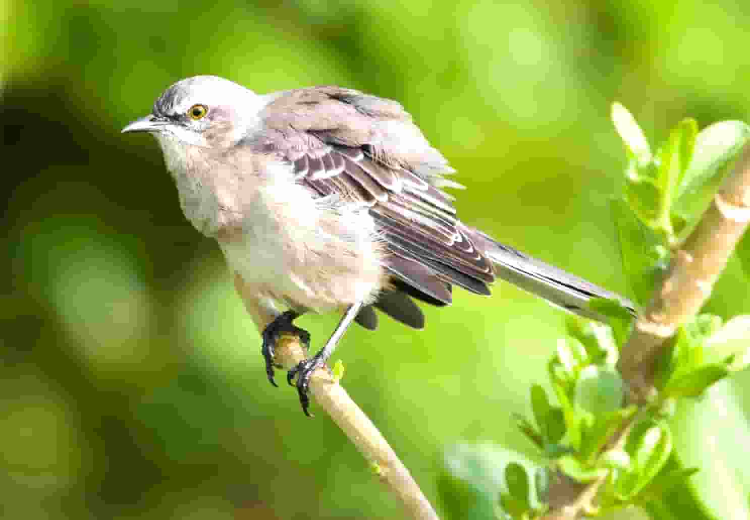 什么是快乐星球第二集