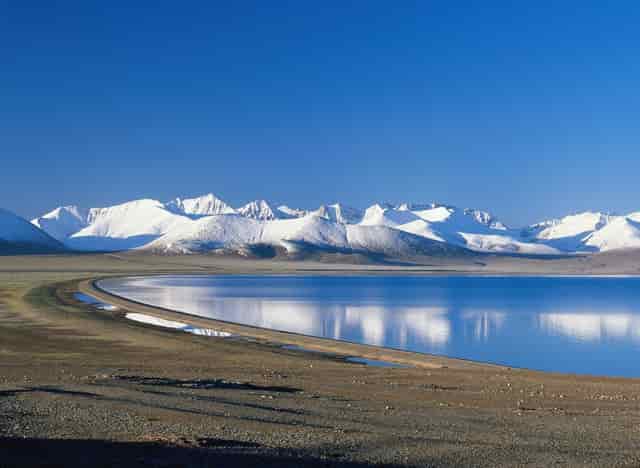 学点“猫咪心理学”，袖虎很靠谱