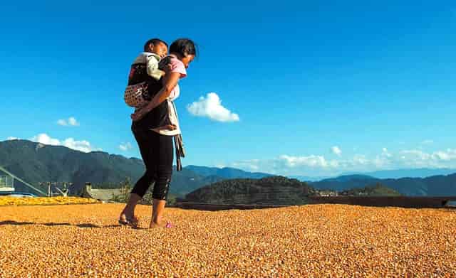 袖虎分享，遛狗有利于狗狗健康