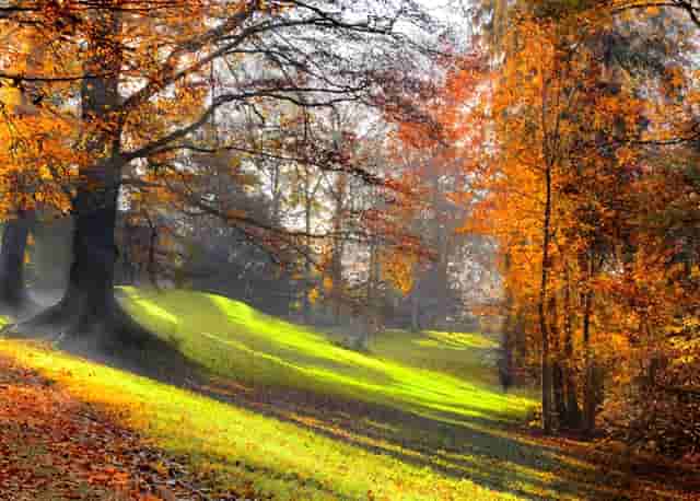 袖虎建议养“狗的问题”和“人的问题”一起重视！