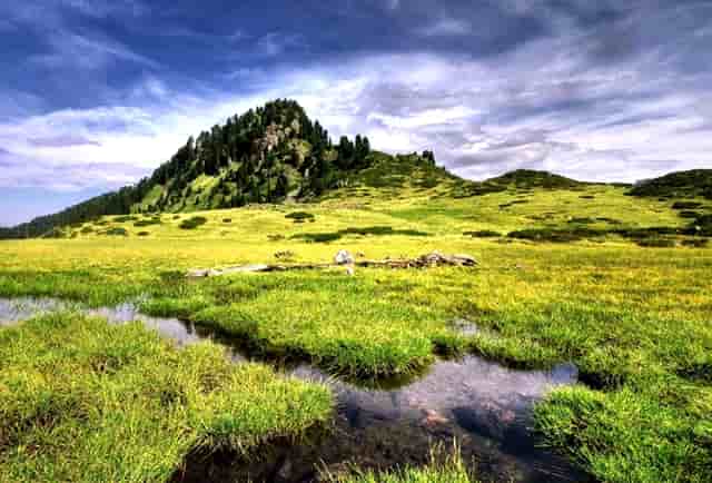 党史学习社区篇