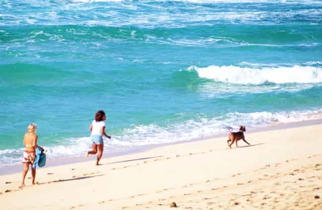 女人是不是也想出轨