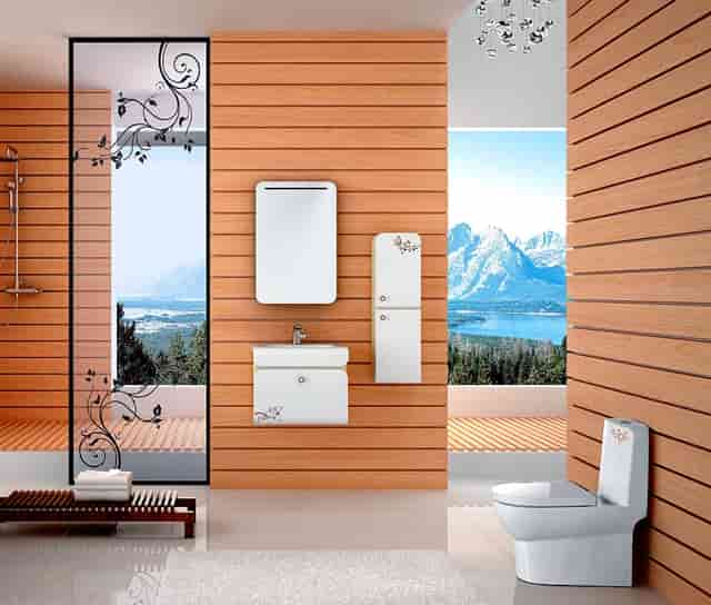 袖虎病猫攻略：猫白内障的原因你知道吗