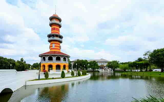 宠物经济新变化，袖虎宠物会不会成为下一个赢家？