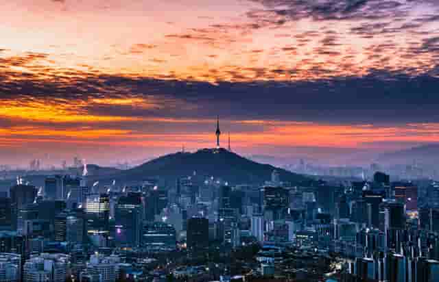 袖虎病猫攻略：猫咪眼睛明亮的奥秘