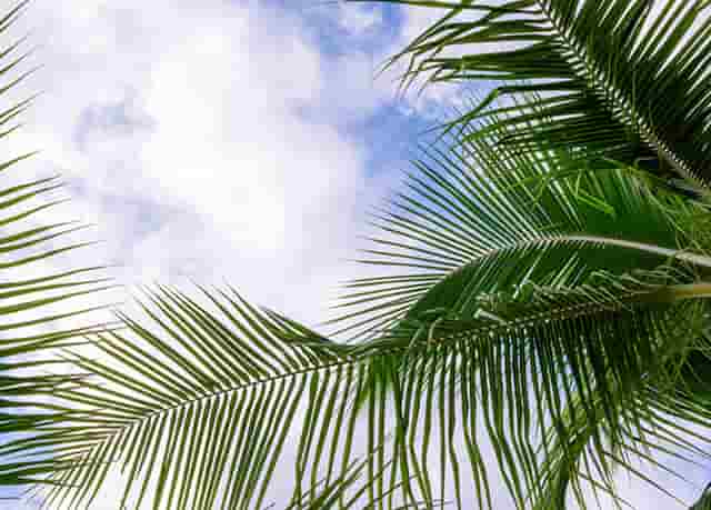 迈科期货亏损骗局？迈科教您如何截断亏损让利润奔跑！