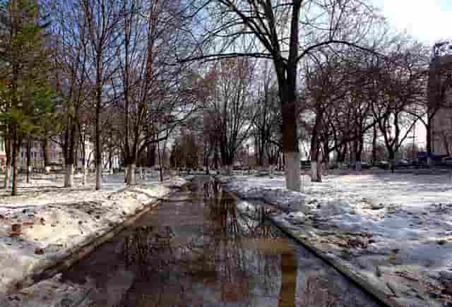 袖虎宠物解读宠物行业是否存在加盟骗局？