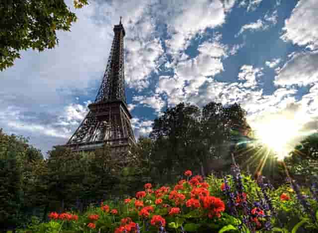 袖虎病狗攻略：狗得狂犬病五大症状，你都知道吗？