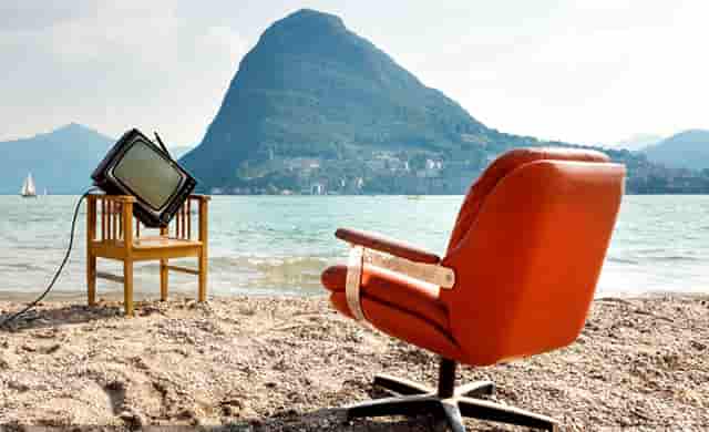 袖虎带你注意宠物美容的问题